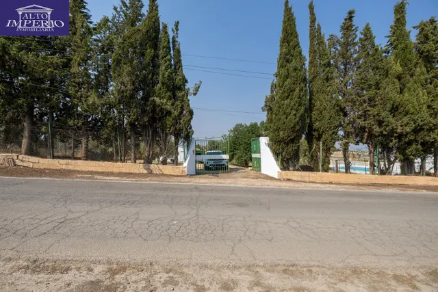 Encanto rústico con casita y olivos en Moraleja de Zafayona 🌿 — 44
