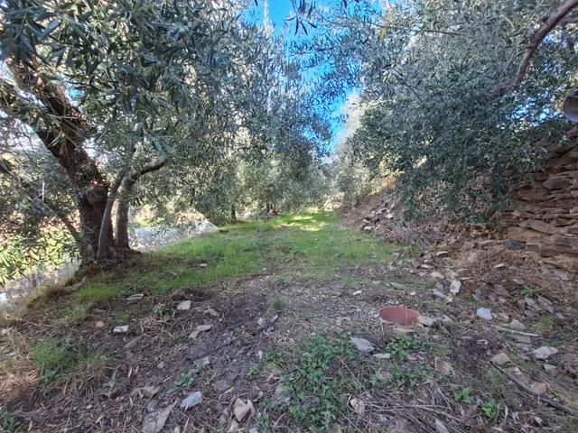 Se vende casa con parcela en Abrucena en pleno parque natural de sierra nevada — 48
