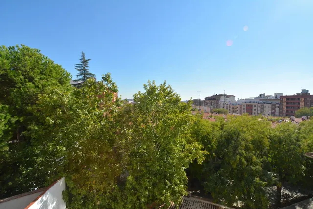 Luminosidad, tranquilidad y vistas despejadas en el barrio d - foto 4