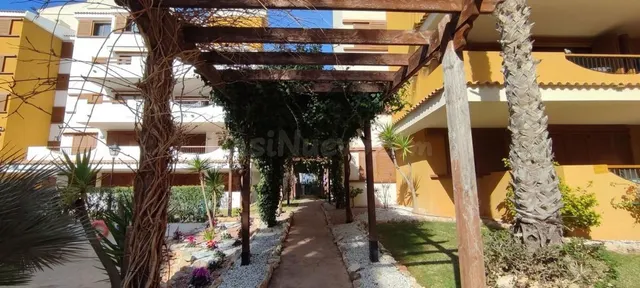 Apartamento 2 habitaciones 75m² en venta - Punta Prima — 18