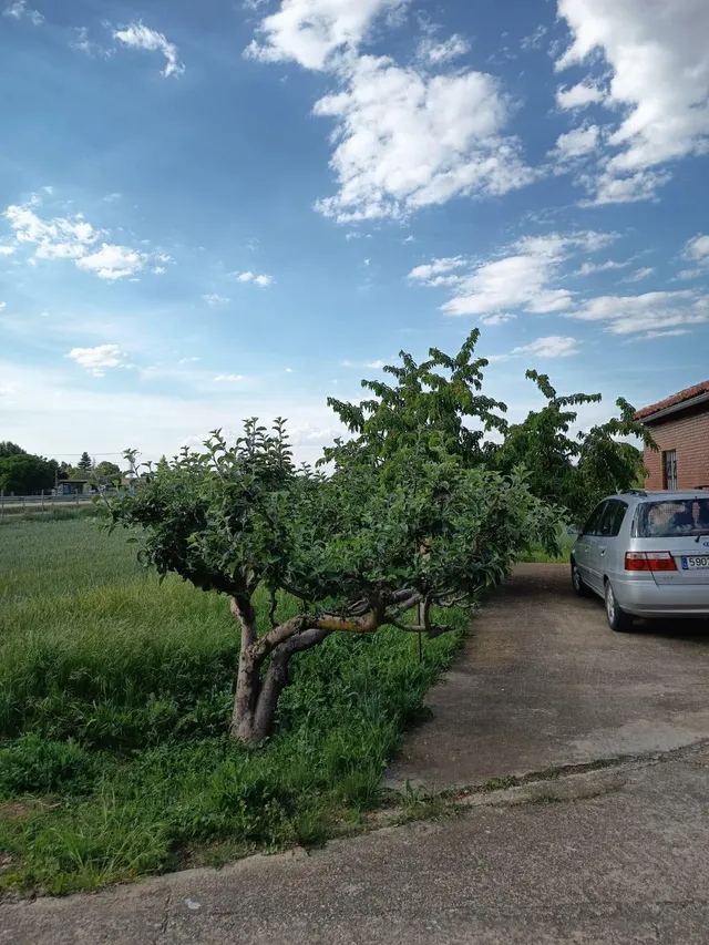 MONCASA VENDE Parcela en Ctra. Carrión — 9