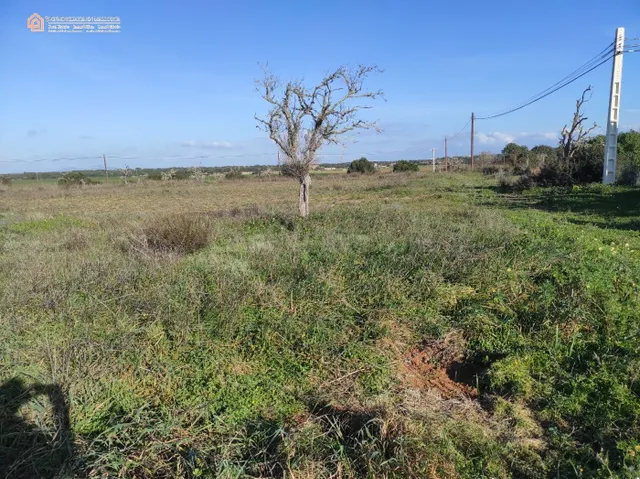 Terreno Rústico Edificable CON LICENCIA en Ses Salines - foto 2