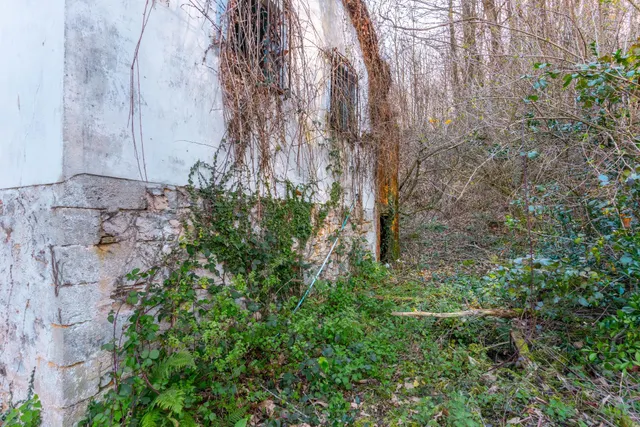 Oportunidad real: casa con parcela para rehabilitar en Tineo — 20