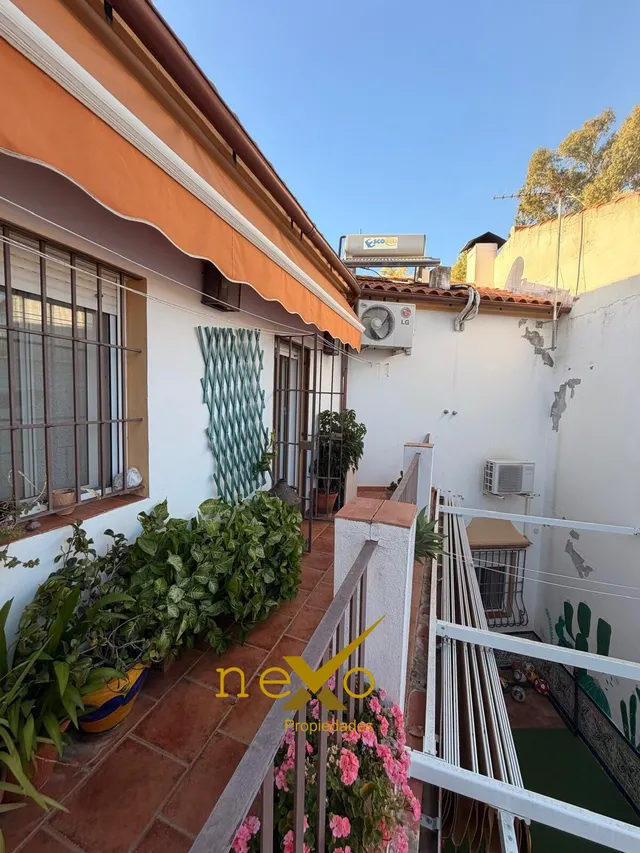 CASA DOS PLANTAS. ZONA NECRÓPOLIS — 24