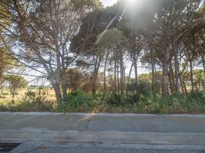 Terreno/s industrial/es de 800 m2