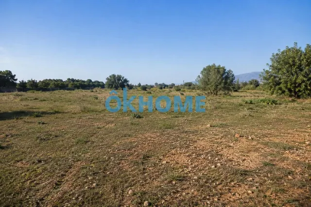 Terreno Rustico en venta en Casco Antiguo