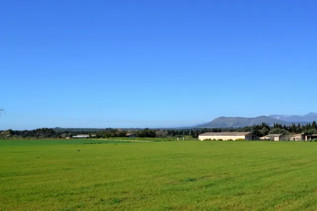 Finca con proyecto aprobado en Llubi — 16