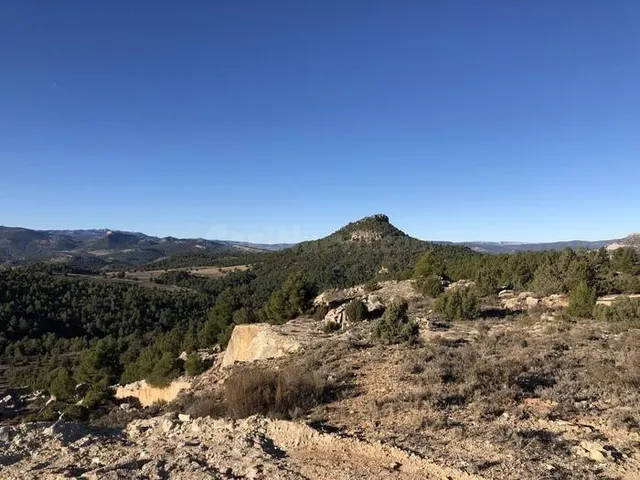 EXTRAORDINARIA FINCA RÚSTICA DE MÁS DE 81 HECTÁREAS EN MORAT - foto 2