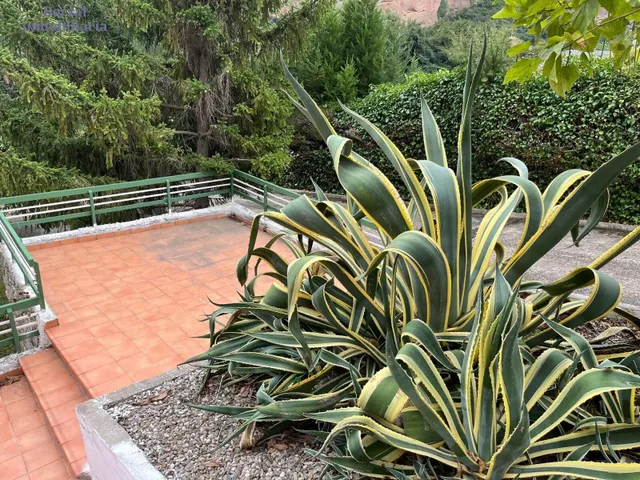 Casa en parcela de casi cuatro mil metros, con piscina, jardin, maravillosas vistas. — 17