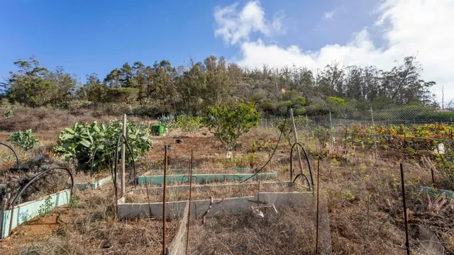 Terreno urbano en Tacoronte. — 39