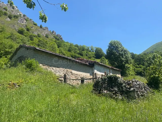 DOS CUADRAS, UNA CABAÑA Y FINCA EN CUEVAS, CON AGUA DE MANAN - foto 2