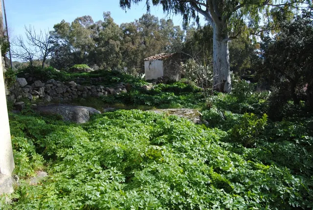 VENTA TERRENO URBANO — 9
