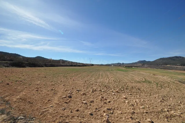 Propiedad en venta en Salinas, Comunidad Valenciana