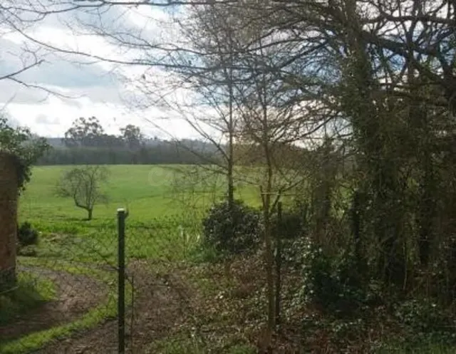 Piso 522m² en venta - San Claudio-Trubia-Las Caldas - foto 5