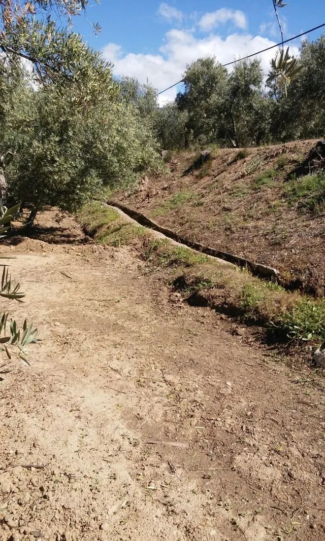 FINCA RUSTICA EN CHERIN - foto 5