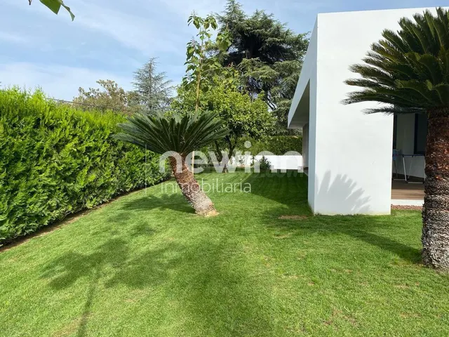 EXCLUSIVO chalet en una planta - foto 4