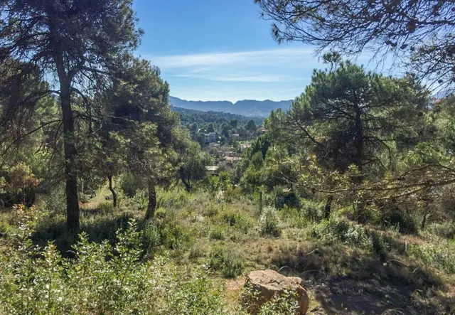 TERRENO URBANO EN RELLINARS DE 946 M2 - ZONA EL PLANET — 15