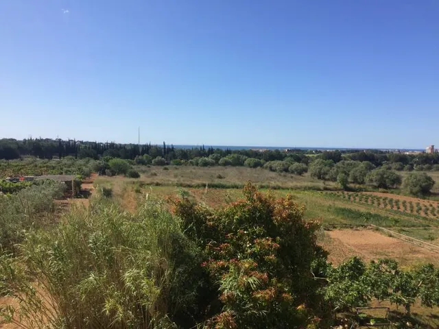 MASIA DEL 1960 CON 39000M2 DE TERRENO AGRICOLA AL LADO DEL MAR DE SANT SALVADOR — 17