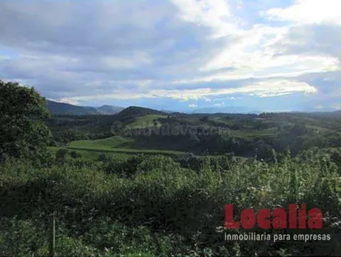 Extenso suelo a buen precio en Reocin, Cantabria