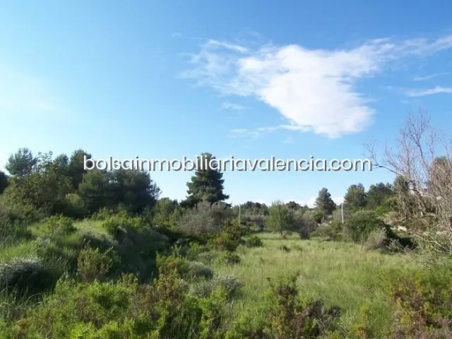Terreno rural 8000m² en venta - La Raiosa — 16