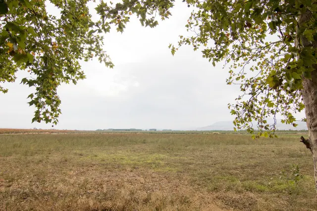 GR2960 - Pinos Puente — 19