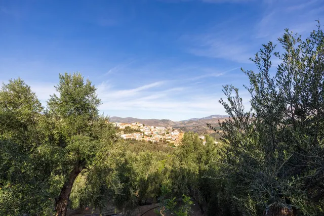 Finca rústica en venta en Pinos del Valle (Valle de Lecrín) — 50