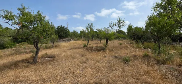 Finca rústica con encanto cerca de El Perelló – 23.000 m2 de naturaleza y tranquilidad — 6