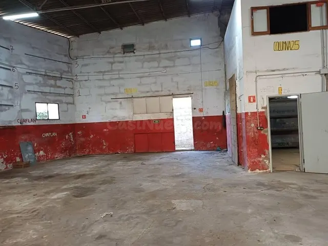 Nave Industrial en Muro - foto 5