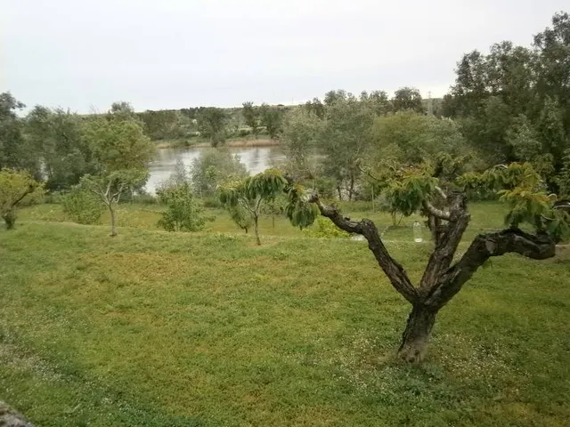 VENTA CHALET ZONA SAN FRONTIS-CARRASCAL, 6 habitaciones, TRES BAÑOS, PISCINA, GRAN PARCELA — 39