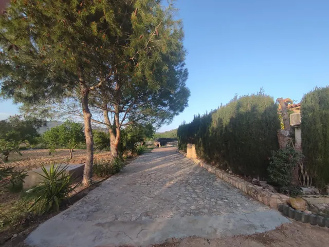 Casa de campo con 5.170 m2 de parcela a 9 min de Pinoso — 38
