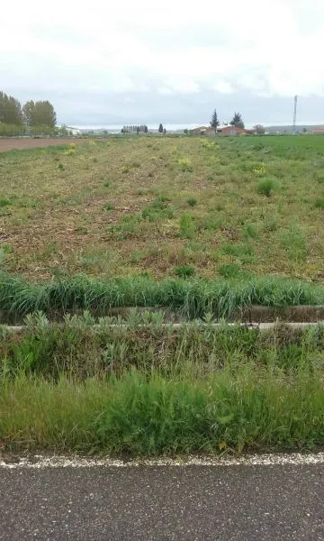 SE VENDE PARCELA RÚSTICA DE REGADÍO EN FRESNO DE LA VEGA DE 5330 M2