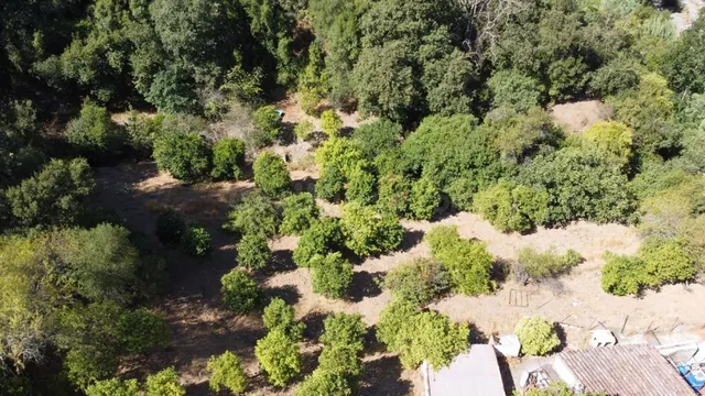Casa de campo-Masía en Venta en Benastepal Málaga — 6
