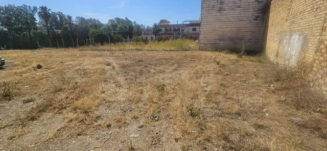 Gran oportunidad en Guillena (Sevilla) - foto 2