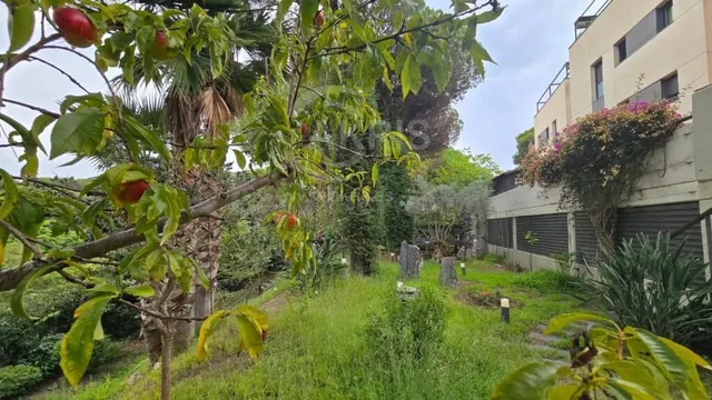 Piso en Lloret de Mar — 31