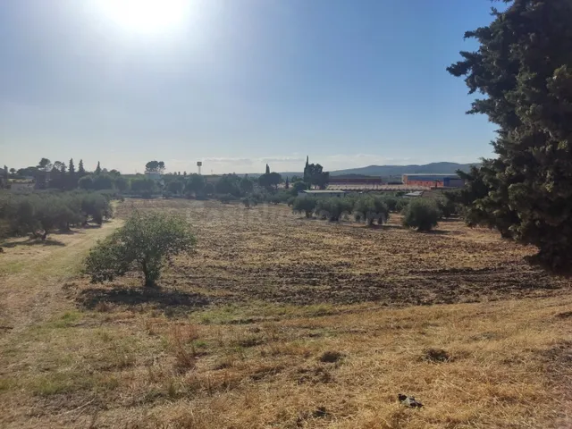 Terreno de 20.000 m2 - foto 3