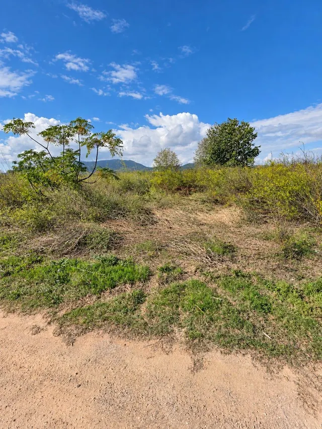 Finca rústica de 6.705 m2 en la zona de els ullals de baltasar, Amposta — 6