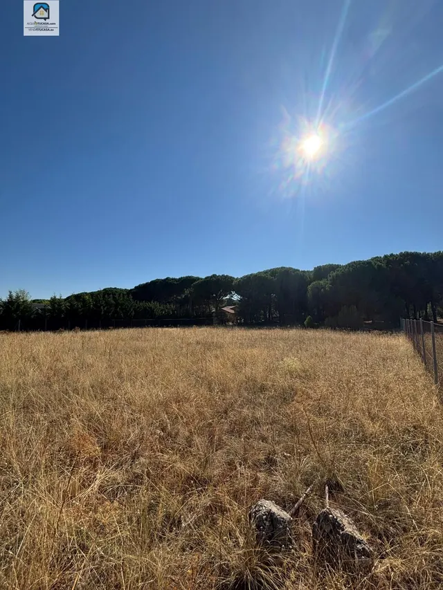 Parcela en urbanización dehesa de peñalba — 8