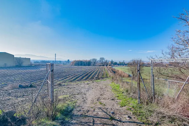 Excelente finca de regadío en la Vega de Granada, con acceso directo — 2