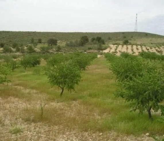 Parcela 171m² en venta - Abanilla — 6
