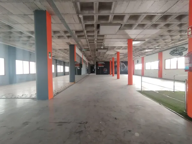 EDIFICIO INDUSTRIAL POL. CARRUS - ELCHE — 4
