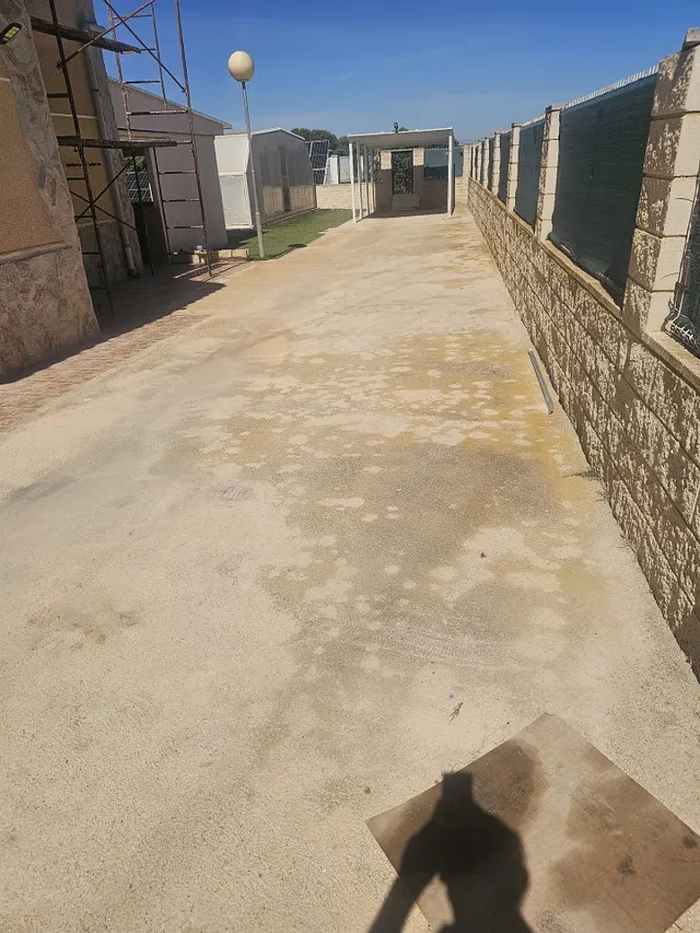 Chalet independiente con parcela a 15 minutos de las playas de Guardamar del Segura — 8
