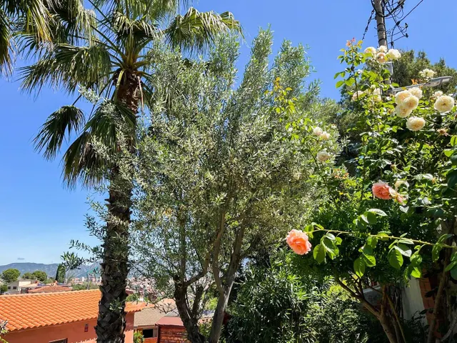 PRECIOSO CHALET A LA VENTA EN ESPARREGUERA - URB CAN RIAL  (BARCELONA) — 44