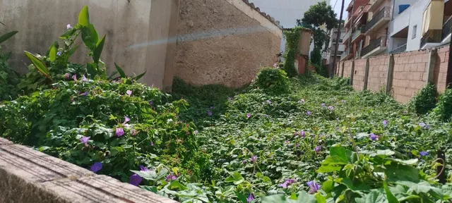 SOLAR URBANIZABLE CANET DE MAR — 7