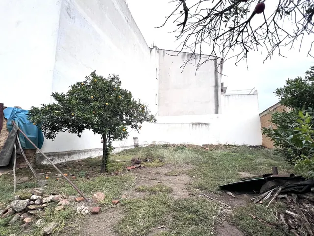CASA-SOLAR EN AVENIDA DEL PILAR CON APROX. 400 M2 - foto 2