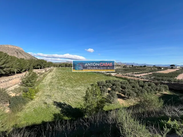 Terreno rústico edificable en Aspe - CAMINO VIEJO