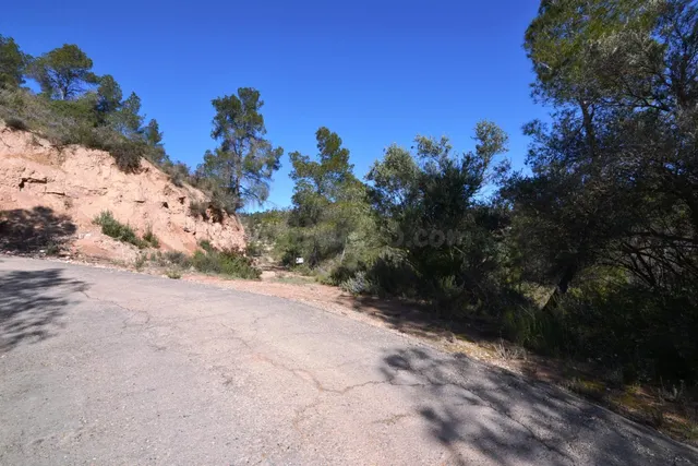 OCASION FINCA RUSTICA DE SECANO DE 2,4 HAS EN ASCO (Ribera d