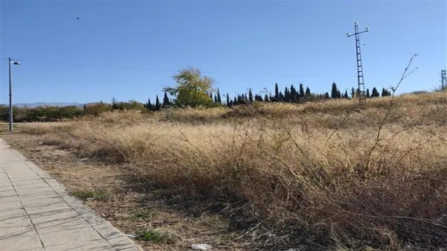 TERRENO DISPONIBLE EN GÓJAR!! - foto 3