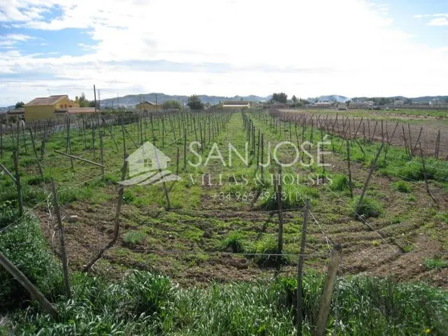 VENTA DE TERRENO RURAL EN ZONA HORNA EN ASPE