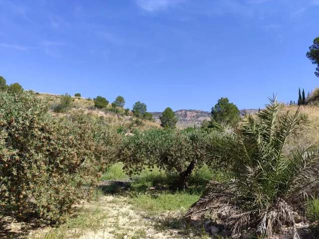 ¡Oportunidad Única! Finca de 55.000 m2 en Yéchar con Vistas  - foto 2