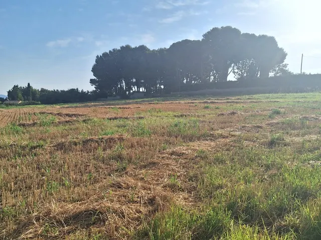 Excelente Finca Rústica de regadío - foto 2
